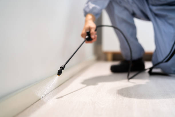 Licensed Exterminator service in San Andreas, CA - Show Me Pest Control